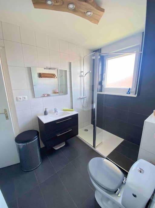 Logement Ideal Pour Un Sejour Alsacien En Amoureux Colmar Eksteriør bilde